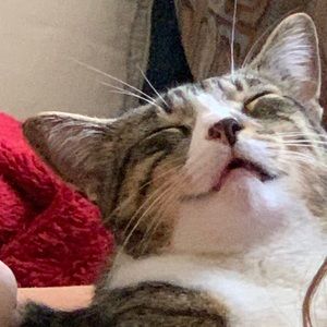 Meet your Posher, Krissy